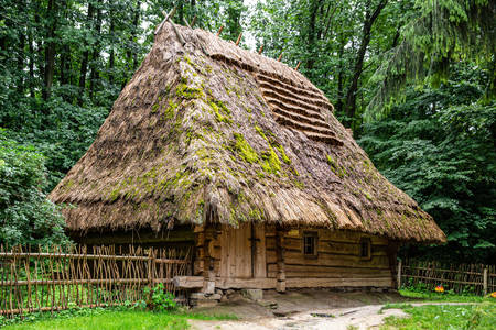 Cabana velha