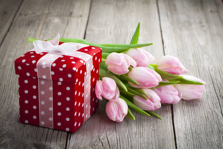 Tulips and gift