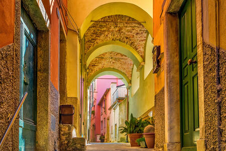 Calle estrecha en Riomaggiore