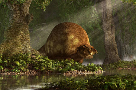 Glyptodon