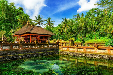 Terenul templului Tirta Empul, Bali