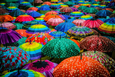 Guarda-chuvas coloridos