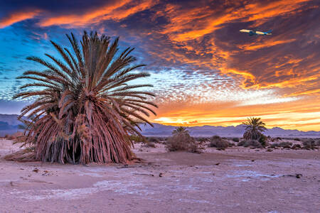 Sunset in the desert