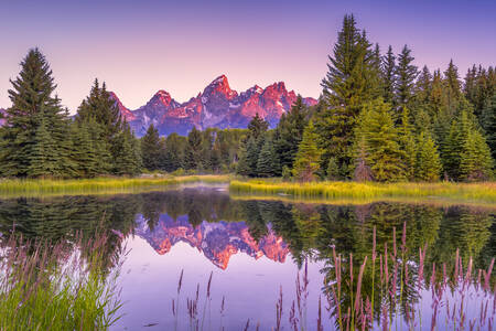 Schwabacher Landing en el Parque Nacional Grand Teton