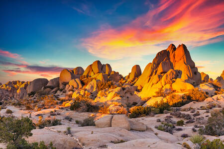 Sunset in Joshua Tree Park