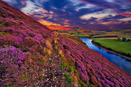 Pentland Hills