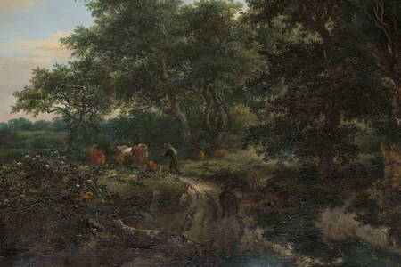 Jacob van Ruisdael: "Skovscene