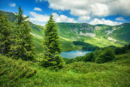 Pešića Lake