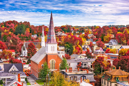Autumn in Montpellier, USA