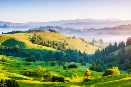 Morning in the Carpathians