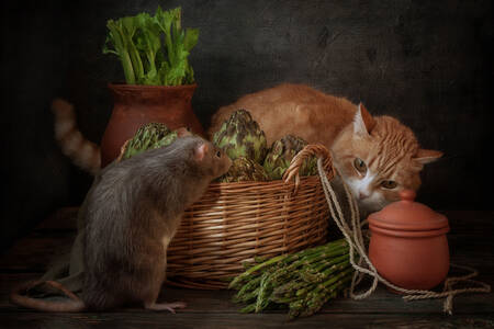 Cat and rat on the table