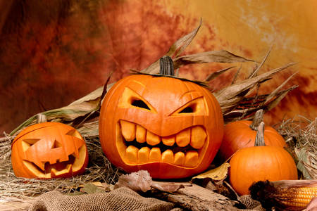Halloween pumpkins