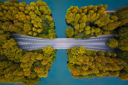 Top view of the road