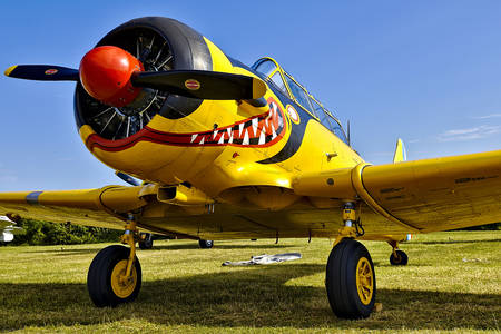 Avião de treinamento americano texano