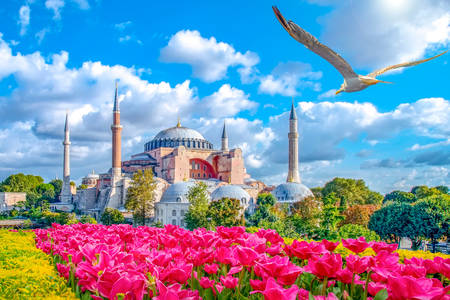 Aja Sofija u Istanbulu